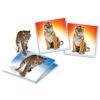 Memo - Les Animaux Sauvages - Clementoni – Image 2