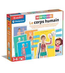 Un jeu éducatif pour apprendre de nouvelles choses sur le corps humain développé selon les principes de la méthode Montessori. Un jeu pour découvrir l'intérieur et l'extérieur du corps humain. https://etoilejouet.ma/wp-content/uploads/2024/08/le-corps-humain-montessori-etoile-jouet.jpg